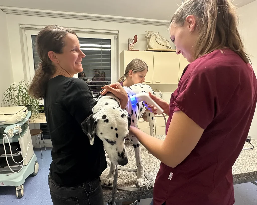 Reportage HT Vista® – Besuch in St. Galler Tierarztpraxis