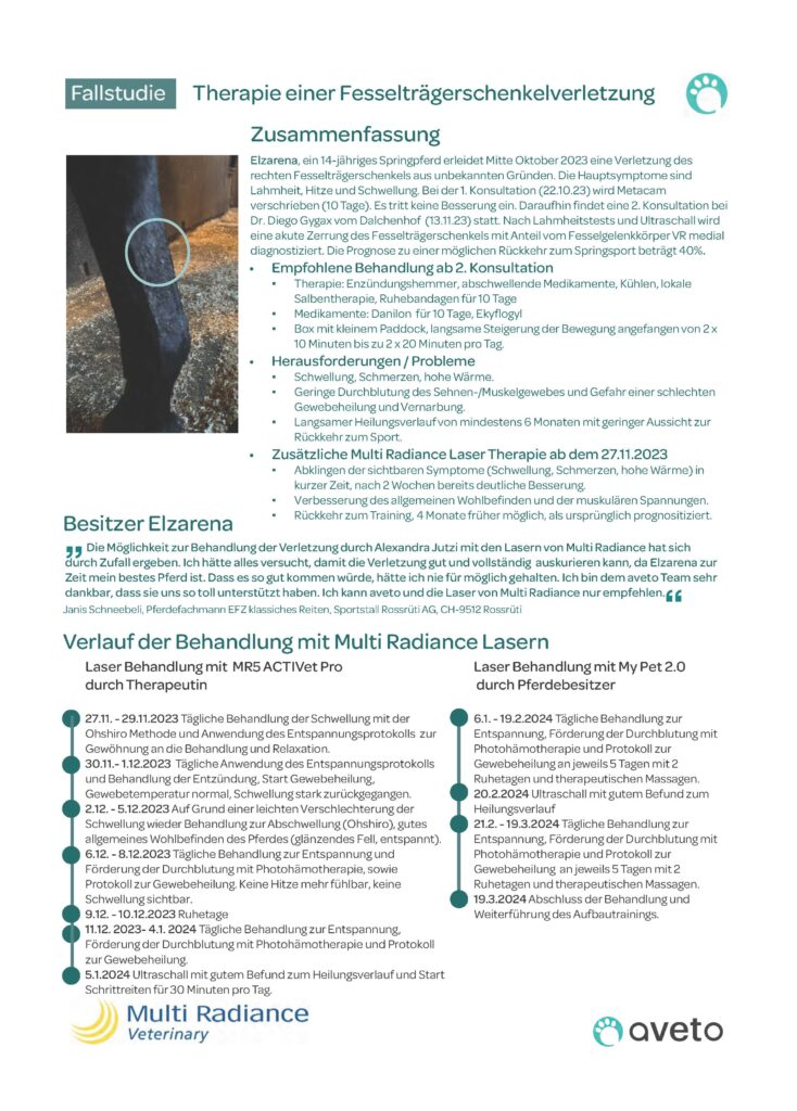 Case study of the successful therapy of a suspensory ligament injury