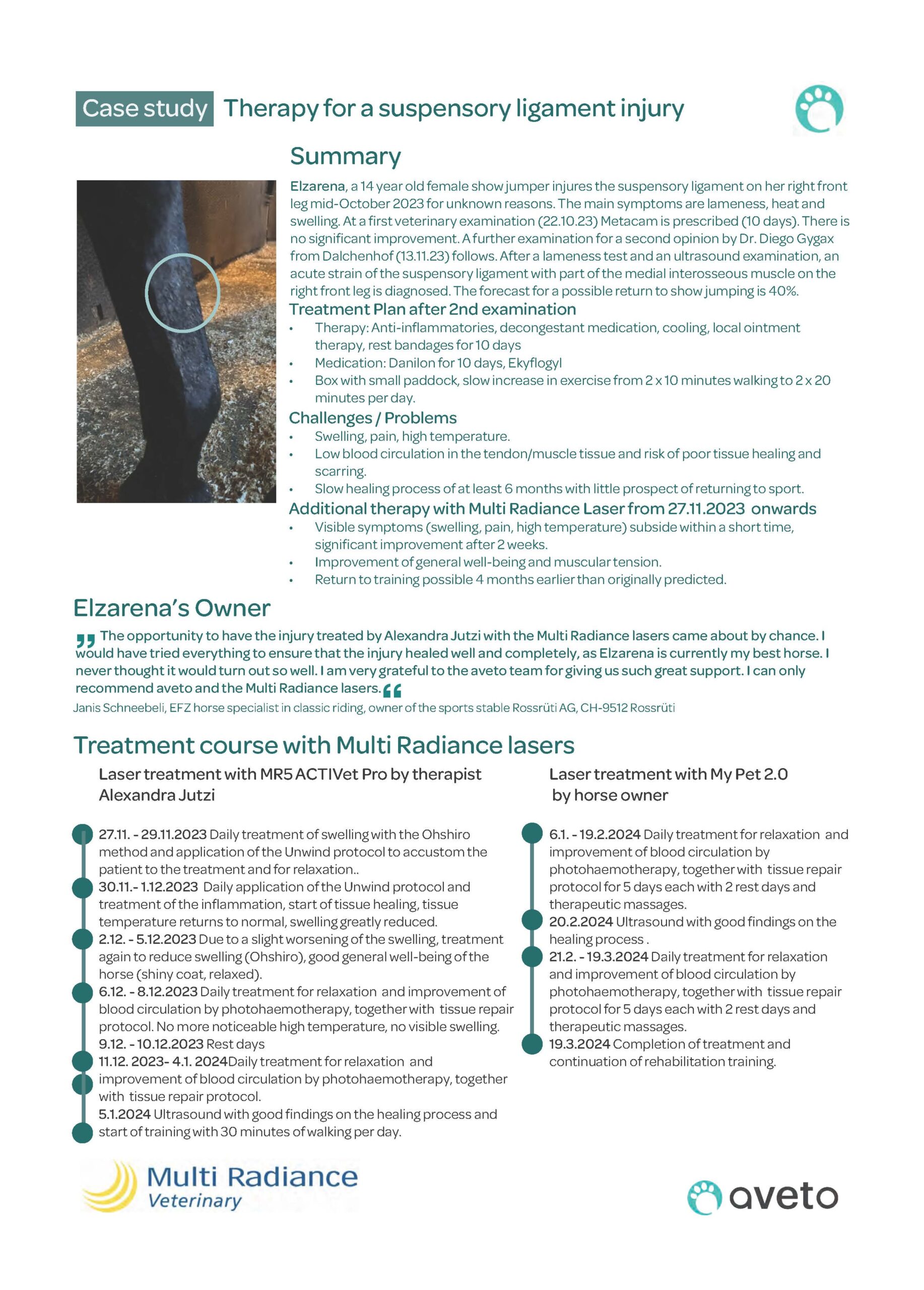 Case study Therapy for suspensory ligament injury