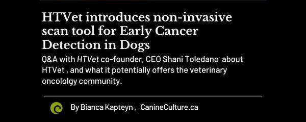 Interview mit Shani Toledano auf canine culture