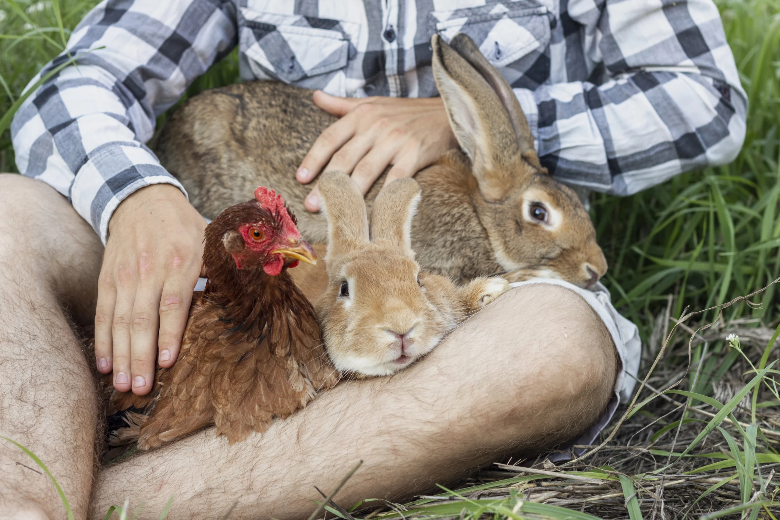 Herbsttagung Verein Bernischer Tierärztinnen und Tierärzte