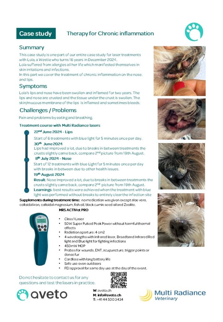 lola chronic inflammation