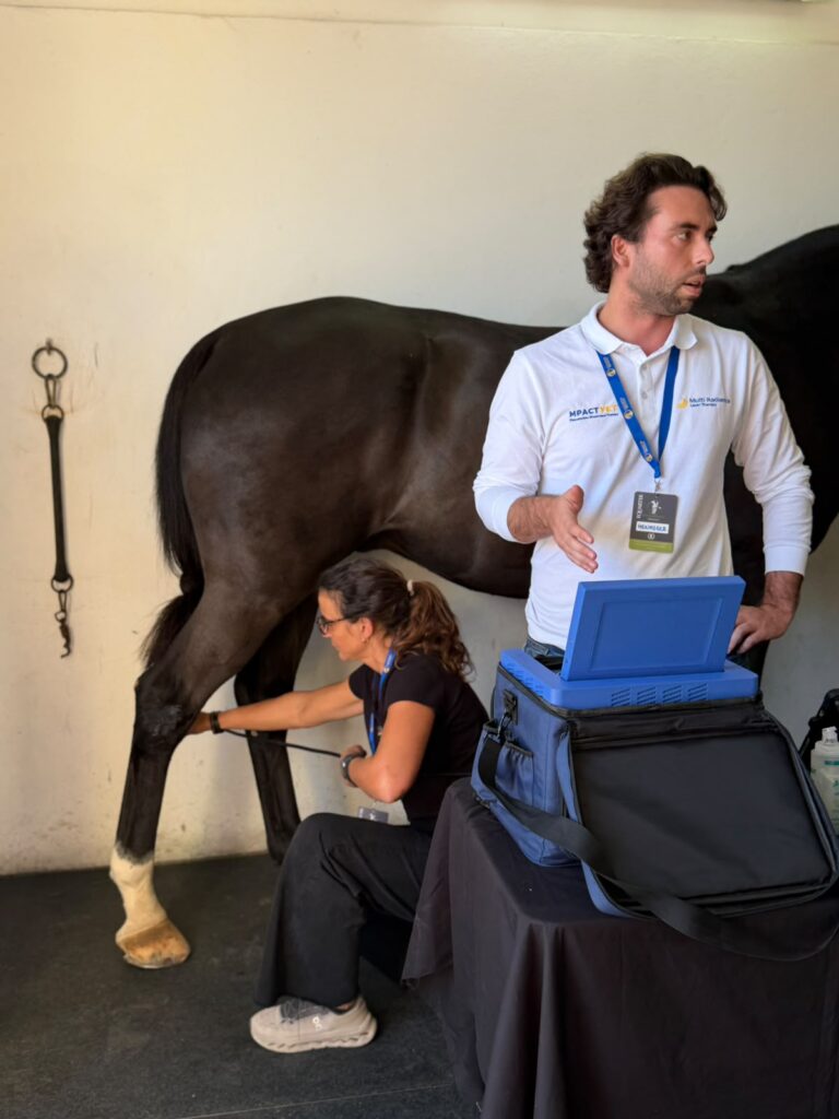 mpactvet training