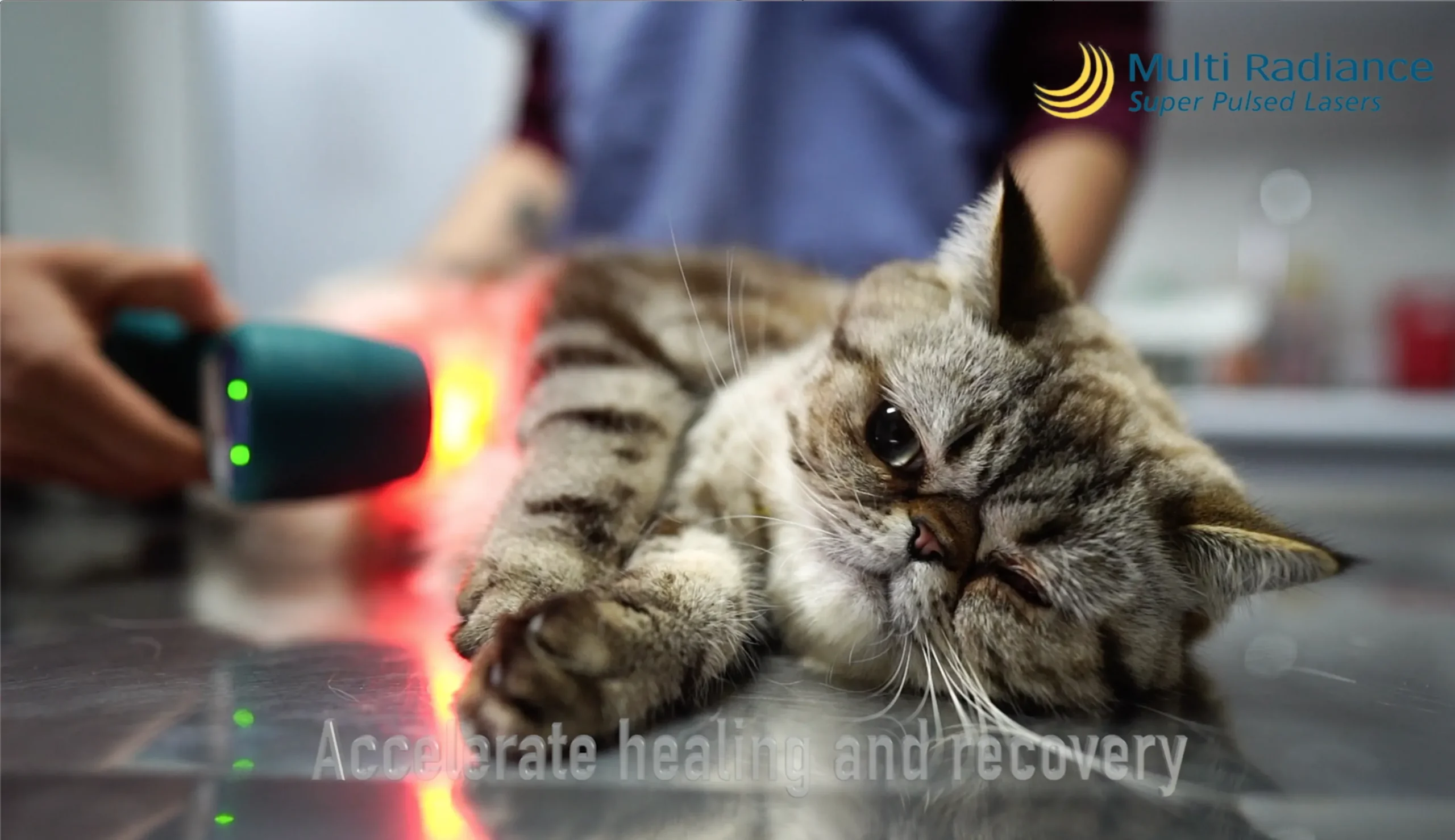 Multi Radiance cat treatment