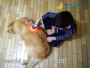 multi radiance mypet 2.0