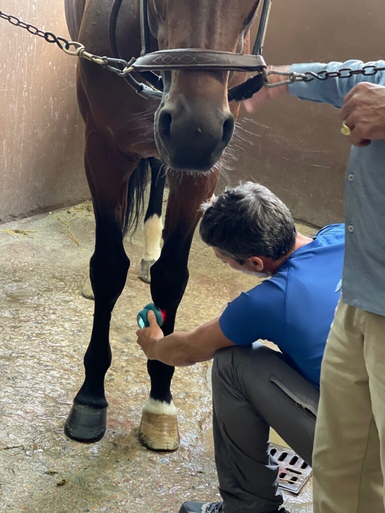 The future of equine medicine with Dr. Bart Halsberghe, Part I and II