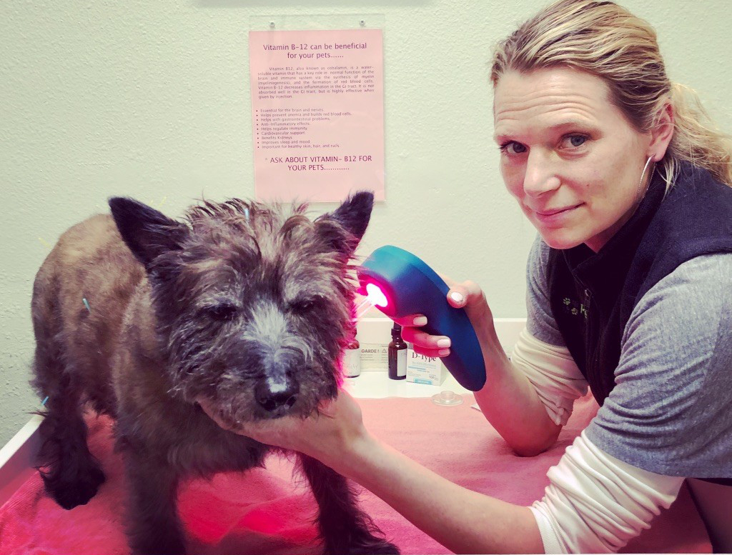 nell ostermeier laserpuncture with mr5 activet