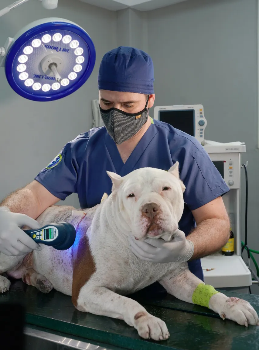surgery bluelight