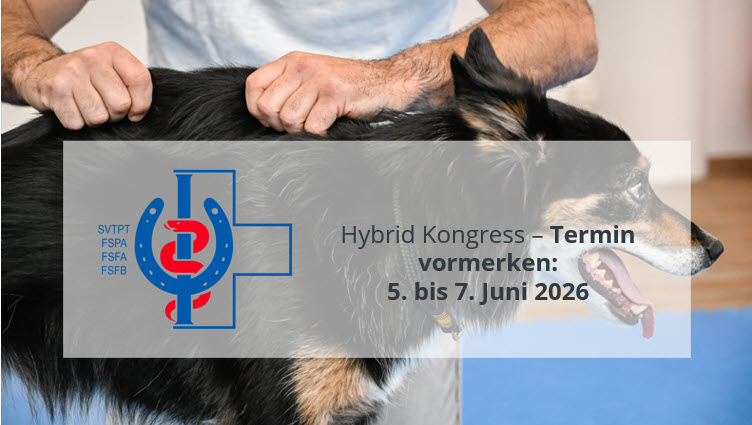 svtpt hybrid kongress header hund