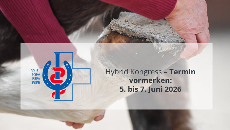 SVTPT – Hybrid-Kongress